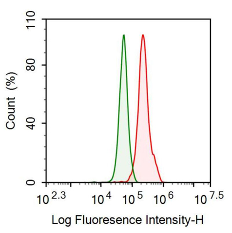 Anti-Adrenomedullin (ADM) Monoclonal Antibody
