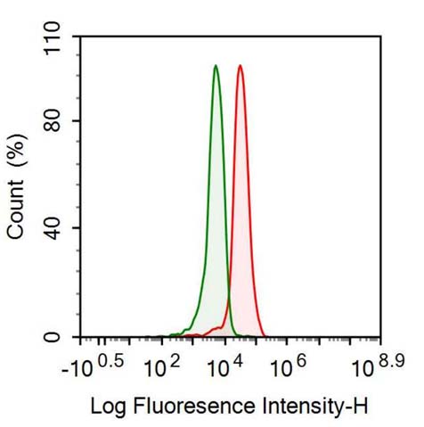 Anti-Anti-Mullerian Hormone (AMH) Monoclonal Antibody