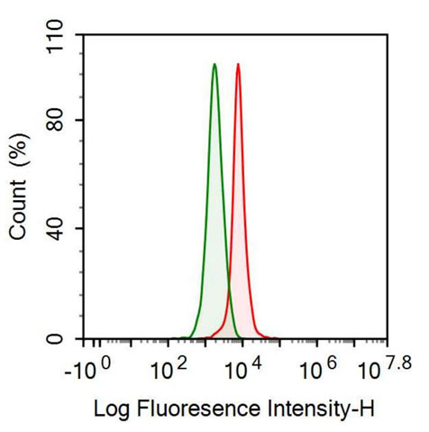 Anti-Anti-Mullerian Hormone (AMH) Monoclonal Antibody