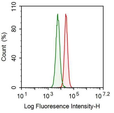 Anti-Annexin V (ANXA5) Monoclonal Antibody