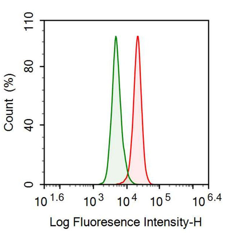 Anti-Annexin V (ANXA5) Monoclonal Antibody