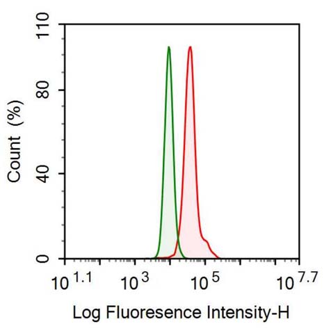 Anti-Galectin 1 (GAL1) Monoclonal Antibody