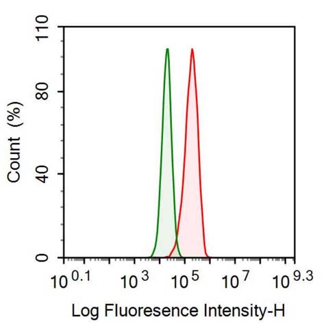 Anti-Inhibin Alpha (INHa) Monoclonal Antibody