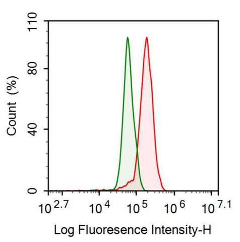 Anti-Myoglobin (MYO) Monoclonal Antibody