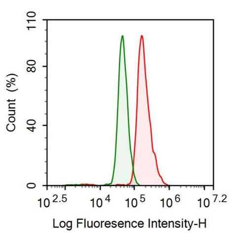 Anti-Brain Natriuretic Peptide (BNP) Monoclonal Antibody