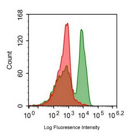 FITC-Linked Anti-Cluster Of Differentiation 28 (CD28) Monoclonal Antibody