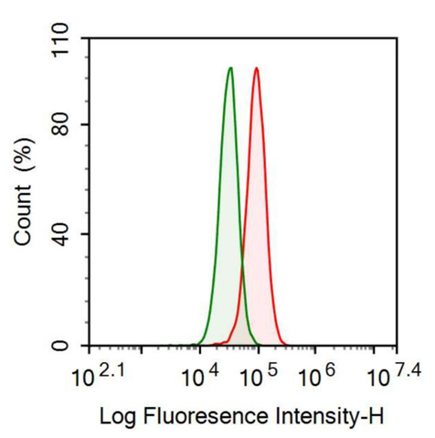 Anti-Glutathione S Transferase Alpha 3 (GSTa3) Polyclonal Antibody