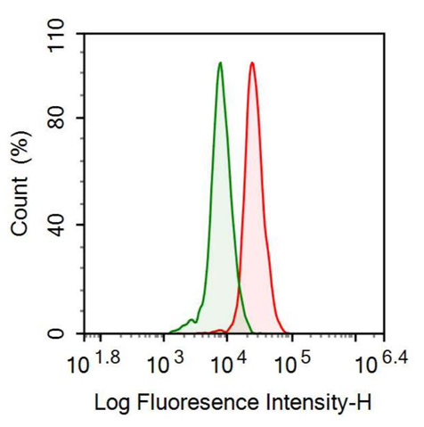 Anti-Alcohol Dehydrogenase 1 (ADH1) Polyclonal Antibody