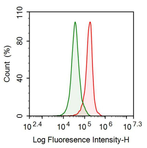 Anti-Osteonectin (ON) Polyclonal Antibody