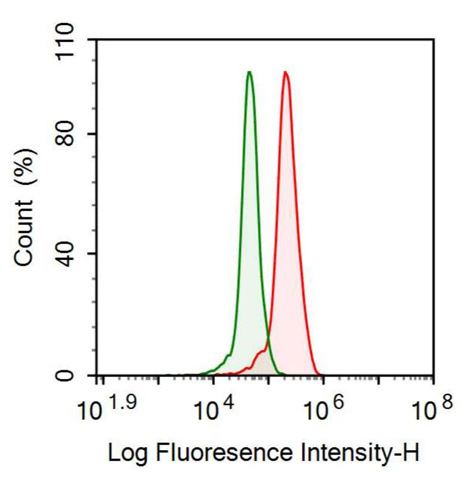 Anti-Haptoglobin (Hpt) Polyclonal Antibody