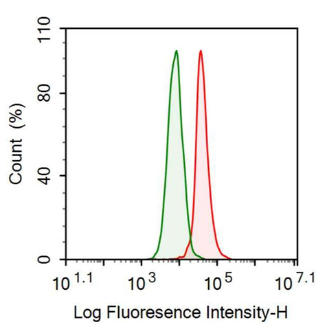 Anti-Coagulation Factor II (F2) Monoclonal Antibody