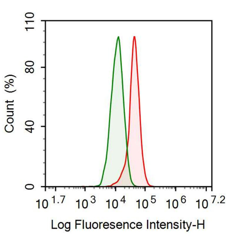 Anti-Prolactin (PRL) Monoclonal Antibody