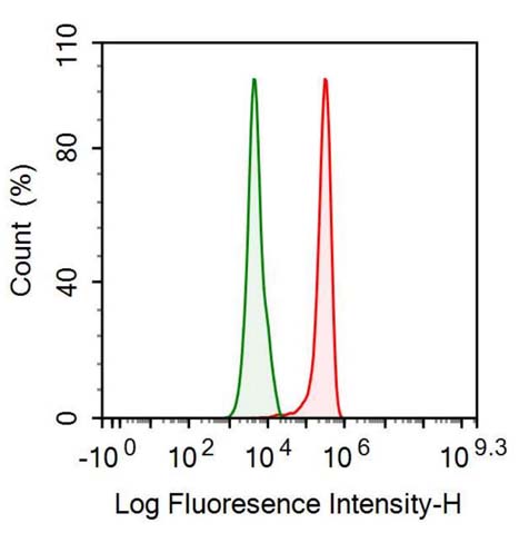 Anti-Alpha-2-Macroglobulin (a2M) Monoclonal Antibody