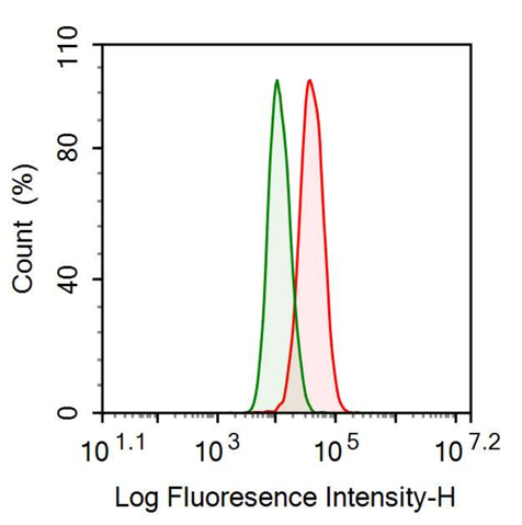 Anti-Albumin (ALB) Monoclonal Antibody