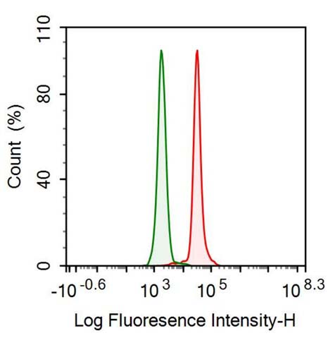 Anti-Surfactant Associated Protein D (SPD) Monoclonal Antibody