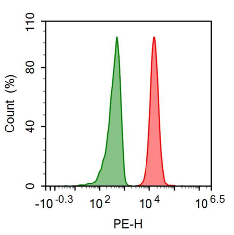 PE-Linked Anti-Tumor Necrosis Factor Receptor Superfamily, Member 7 (TNFRSF7) Polyclonal Antibody