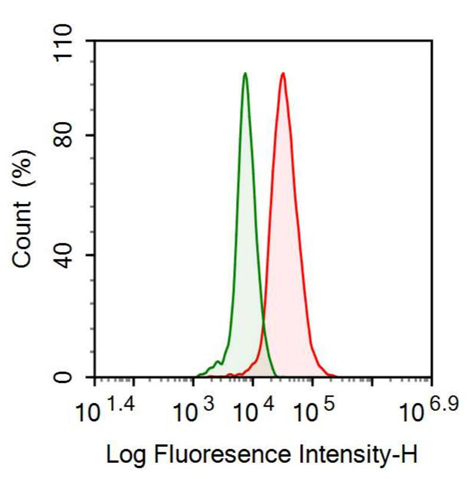 Anti-Heat Shock 70kDa Protein 1A (HSPA1A) Polyclonal Antibody