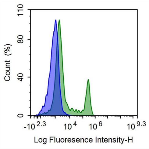 FITC-Linked Anti-Cluster Of Differentiation 8a (CD8a) Polyclonal Antibody