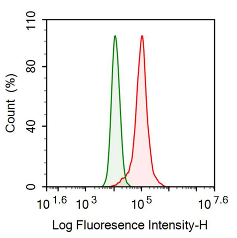 Anti-Transferrin Receptor (TFR) Monoclonal Antibody