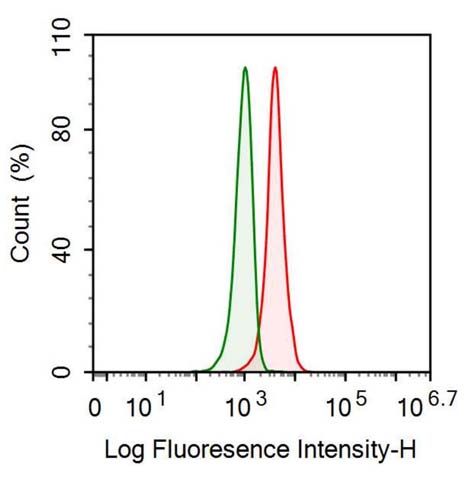 Anti-Aspartate Aminotransferase (AST) Monoclonal Antibody