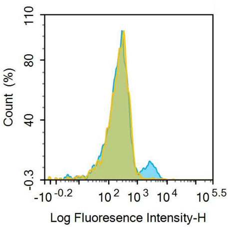 APC-Linked Anti-Tumor Necrosis Factor Receptor Superfamily, Member 5 (CD40) Polyclonal Antibody