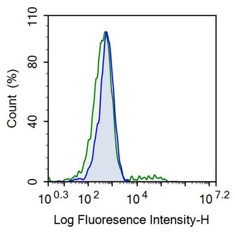 Anti-Beta-1,3-Glucuronyltransferase 1 (b3GAT1) Monoclonal Antibody