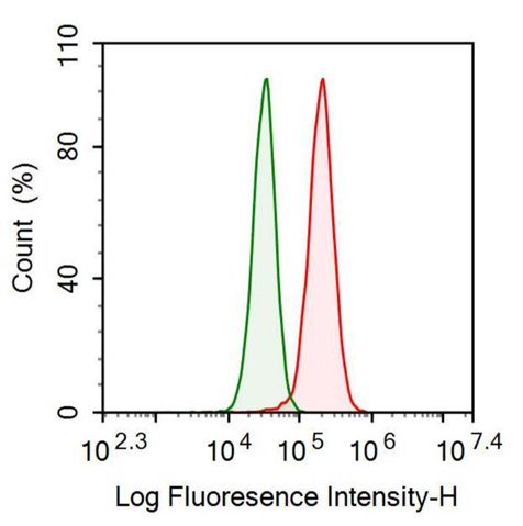 Anti-Proteinase 3 (PR3) Polyclonal Antibody