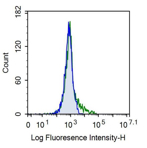 Anti-Interleukin 3 Receptor Alpha (IL3Ra) Monoclonal Antibody