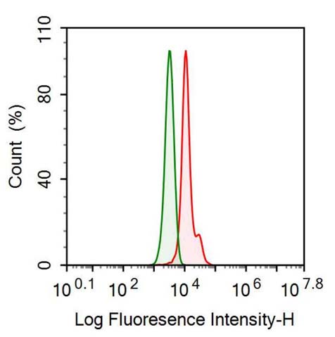 Anti-Indoleamine-2,3-Dioxygenase (IDO) Monoclonal Antibody