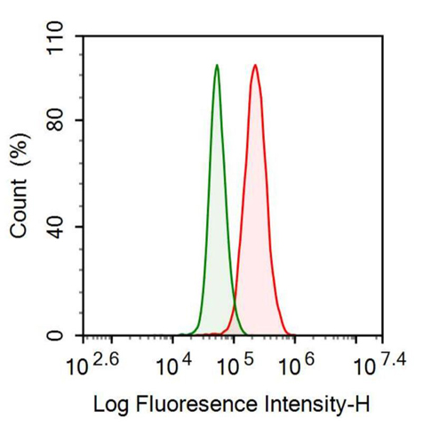 Anti-Surfactant Protein B (SP-B) Monoclonal Antibody