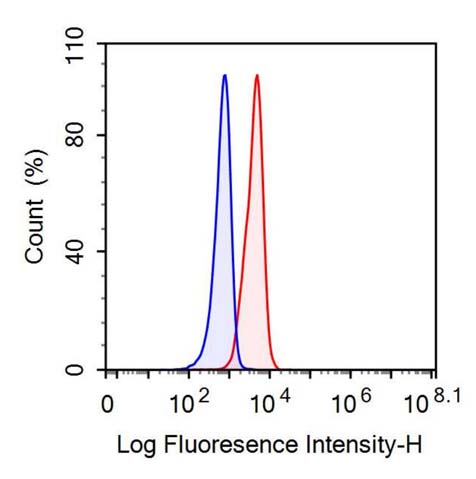 Anti-Fatty Acid Binding Protein 4 (FABP4) Monoclonal Antibody