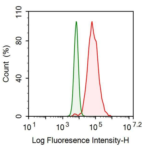 Anti-Lectin Galactoside Binding, Soluble 3 Binding Protein (LGALS3BP) Monoclonal Antibody