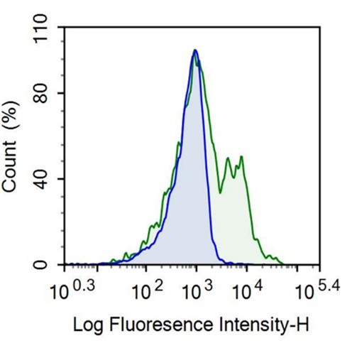 Anti-Interleukin 2 Receptor Alpha (IL2Ra) Polyclonal Antibody