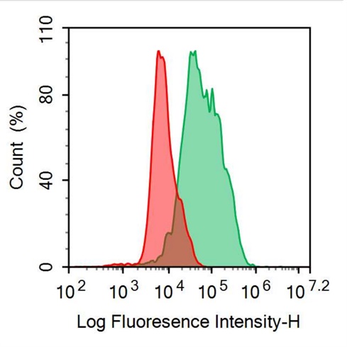 FITC-Linked Anti-Syndecan 1 (SDC1) Polyclonal Antibody