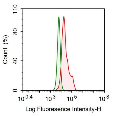 Anti-Apolipoprotein B (APOB) Monoclonal Antibody