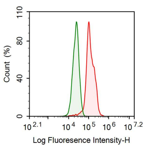 Anti-Fibroblast Growth Factor 21 (FGF21) Monoclonal Antibody