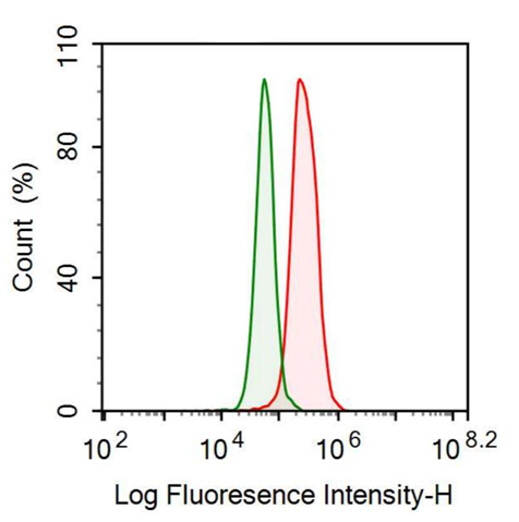 Anti-Myosin Light Chain 3, Alkali, Ventricular, Slow Skeletal (MYL3) Polyclonal Antibody