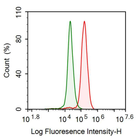 Anti-Alpha-1-B-Glycoprotein (a1BG) Monoclonal Antibody