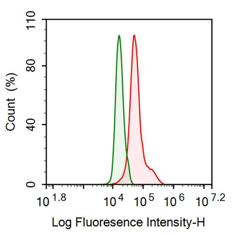 Anti-Lamin A/C (LMNA) Monoclonal Antibody