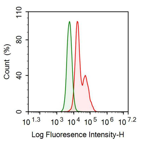 Anti-Follistatin Like Protein 1 (FSTL1) Monoclonal Antibody