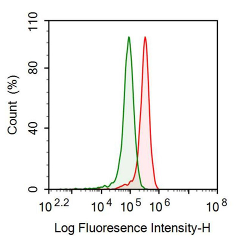 Anti-Aminoacyl tRNA Synthetase Complex Interacting Multifunctional Protein 1 (AIMP1) Polyclonal Antibody