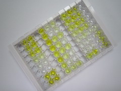 High Sensitive ELISA Kit for Cardiac Troponin I (cTnI)