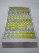 High Sensitive ELISA Kit for Interleukin 1 Beta (IL1b)