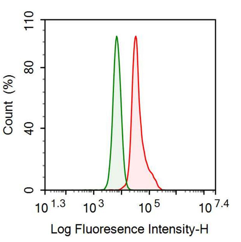 Monoclonal Antibody to Plasminogen Activator Inhibitor 1 (PAI1)