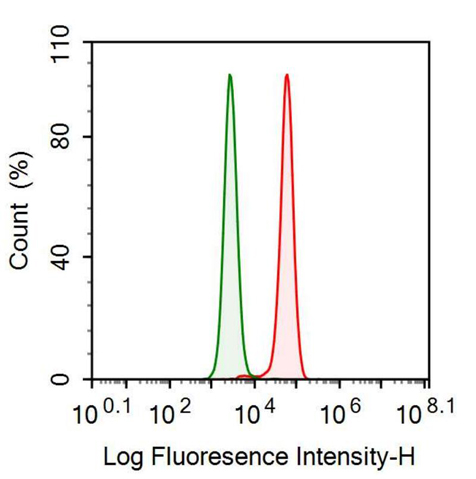 Monoclonal Antibody to Thioredoxin (Trx)