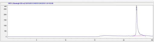 Phosphorylated Tumor Protein p53 Binding Protein 1 (TP53BP1)