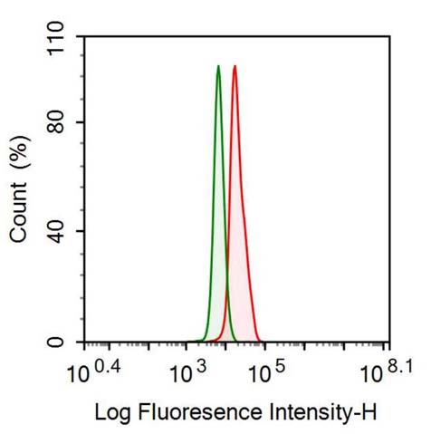 Polyclonal Antibody to Caspase 9 (CASP9)