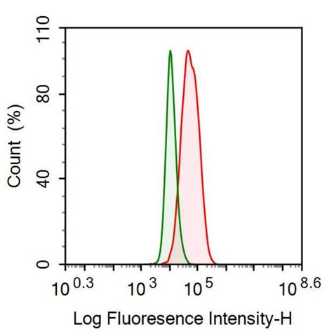 Polyclonal Antibody to Apolipoprotein E (APOE)