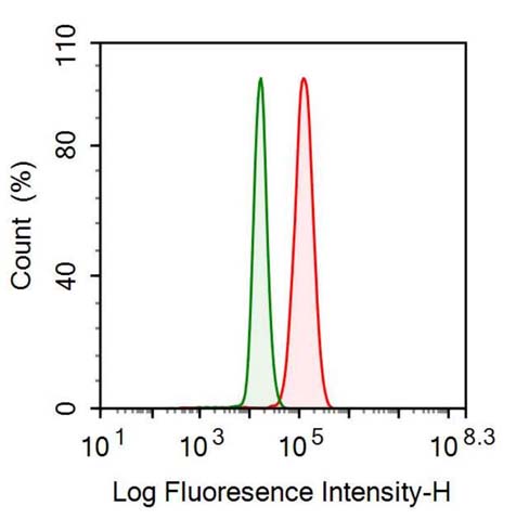 Polyclonal Antibody to Allograft inflammatory factor 1 (AIF1)
