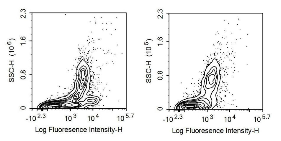 Recombinant Antibody to Cluster Of Differentiation 33 (CD33)